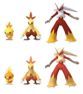 Famiglia di Torchic (Torchic, Combusken e Blaziken) nella sua versione cromatica (sopra) e normale (sotto)